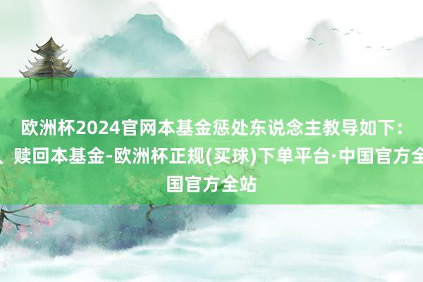 欧洲杯2024官网本基金惩处东说念主教导如下：购、赎回本基金-欧洲杯正规(买球)下单平台·中国官方全站