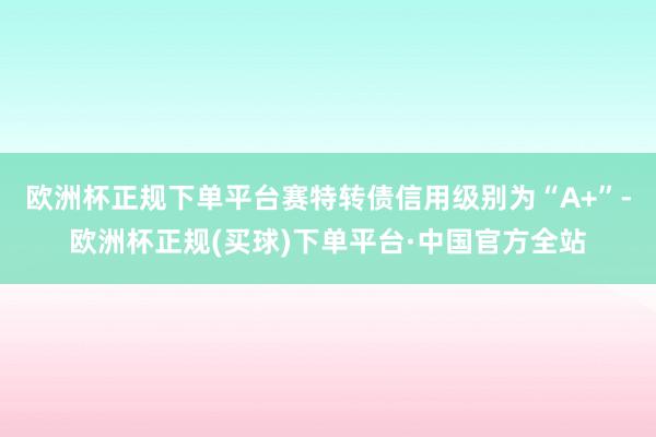 欧洲杯正规下单平台赛特转债信用级别为“A+”-欧洲杯正规(买球)下单平台·中国官方全站