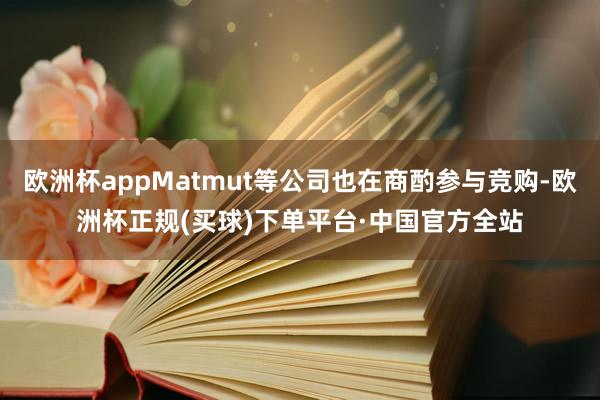 欧洲杯appMatmut等公司也在商酌参与竞购-欧洲杯正规(买球)下单平台·中国官方全站