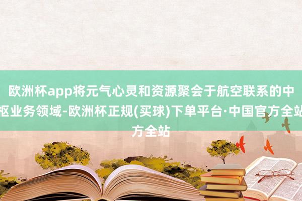 欧洲杯app将元气心灵和资源聚会于航空联系的中枢业务领域-欧洲杯正规(买球)下单平台·中国官方全站