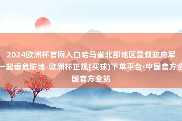 2024欧洲杯官网入口哈马省北部地区是叙政府军的一起垂危防地-欧洲杯正规(买球)下单平台·中国官方全站