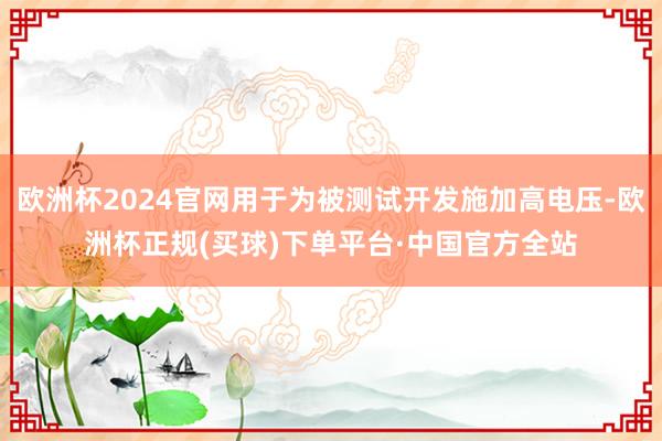 欧洲杯2024官网用于为被测试开发施加高电压-欧洲杯正规(买球)下单平台·中国官方全站