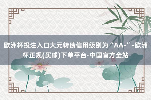 欧洲杯投注入口大元转债信用级别为“AA-”-欧洲杯正规(买球)下单平台·中国官方全站