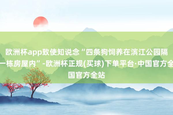 欧洲杯app致使知说念“四条狗饲养在滨江公园隔邻一栋房屋内”-欧洲杯正规(买球)下单平台·中国官方全站