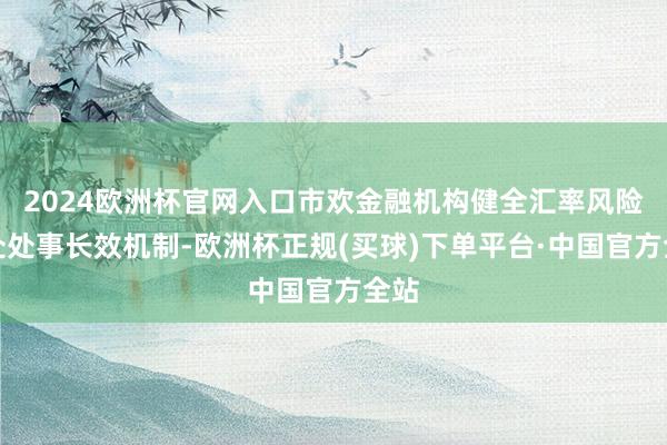 2024欧洲杯官网入口市欢金融机构健全汇率风险惩处处事长效机制-欧洲杯正规(买球)下单平台·中国官方全站