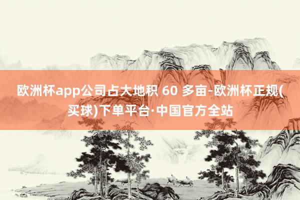 欧洲杯app公司占大地积 60 多亩-欧洲杯正规(买球)下单平台·中国官方全站