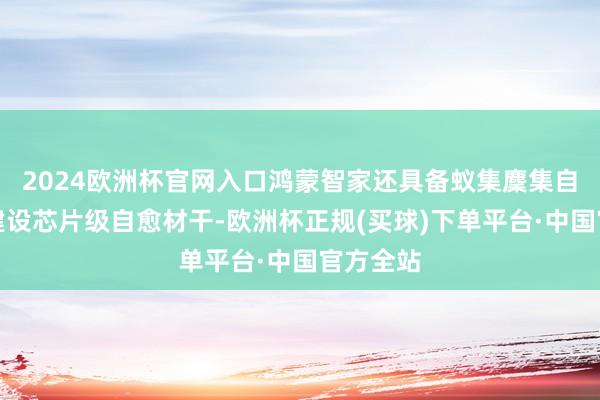 2024欧洲杯官网入口鸿蒙智家还具备蚁集麇集自收复和建设芯片级自愈材干-欧洲杯正规(买球)下单平台·中国官方全站